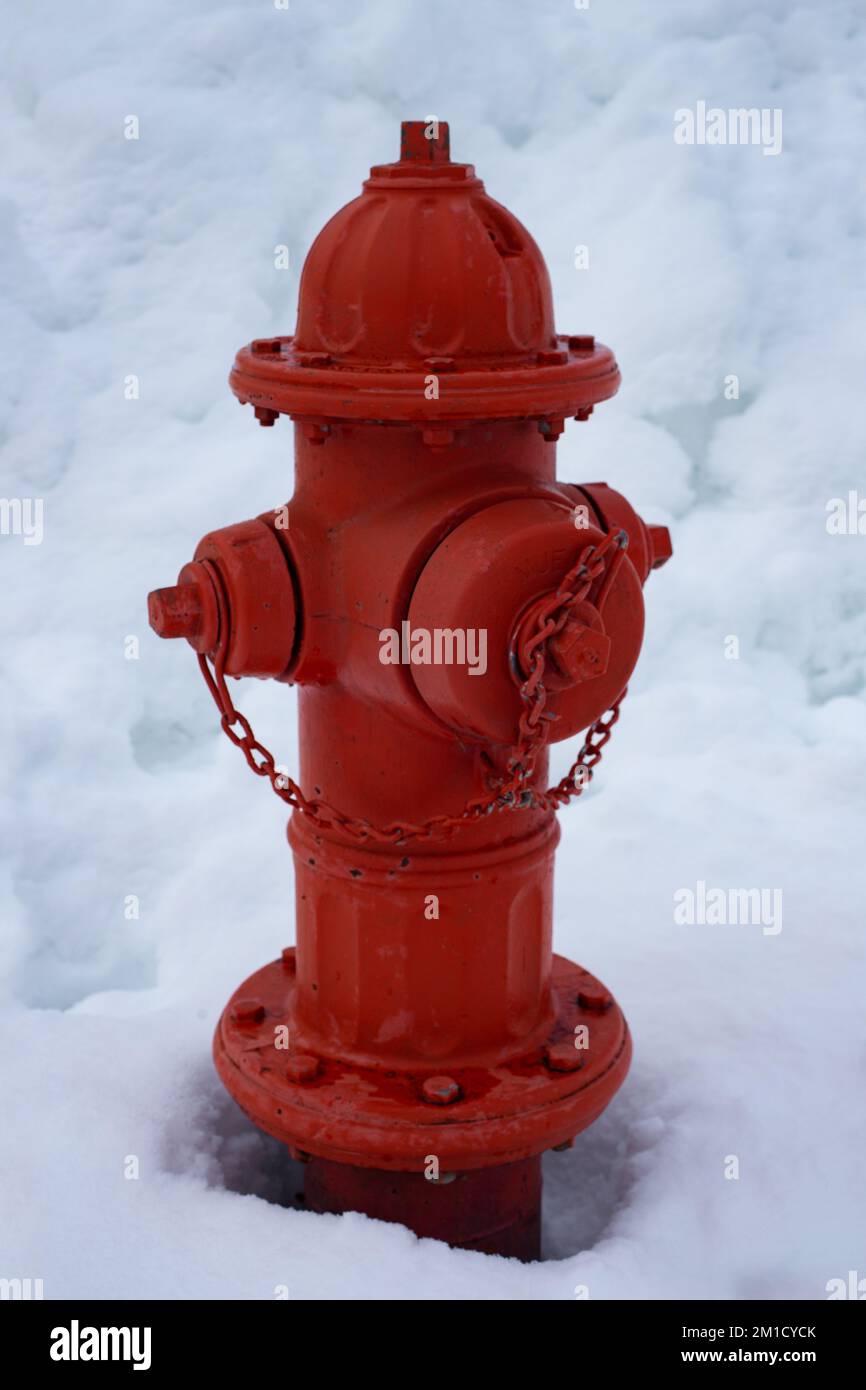 Eine rote Feuerlöscher, mit Schnee bedeckt, in Troja, Montana. Stockfoto