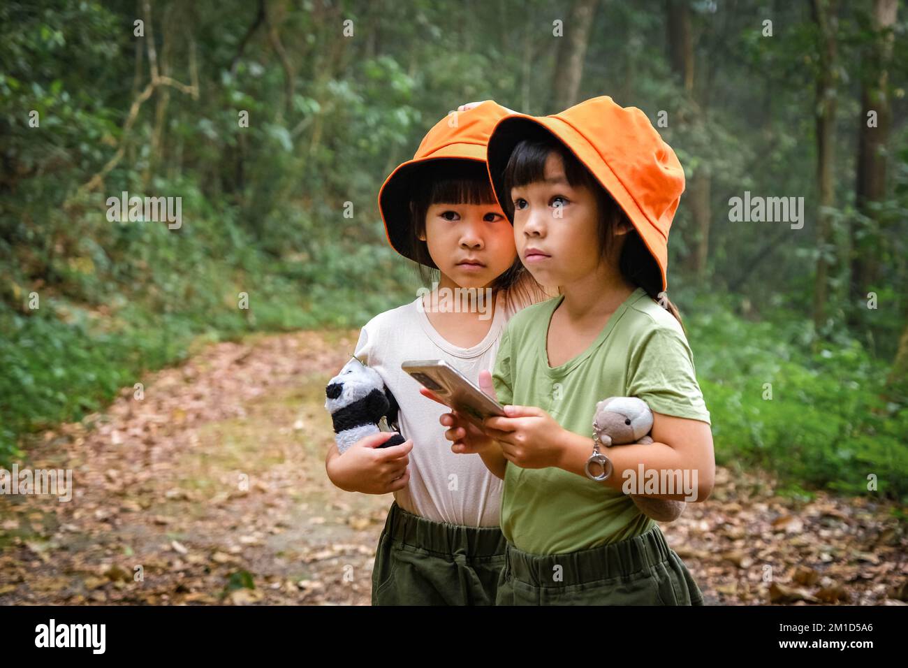 Die Schwestern nutzen die Karte auf ihren Smartphones und genießen es, zusammen zu wandern. Eine Familie auf einer Wanderung durch den Wald. Die Familie verbringt Zeit miteinander Stockfoto