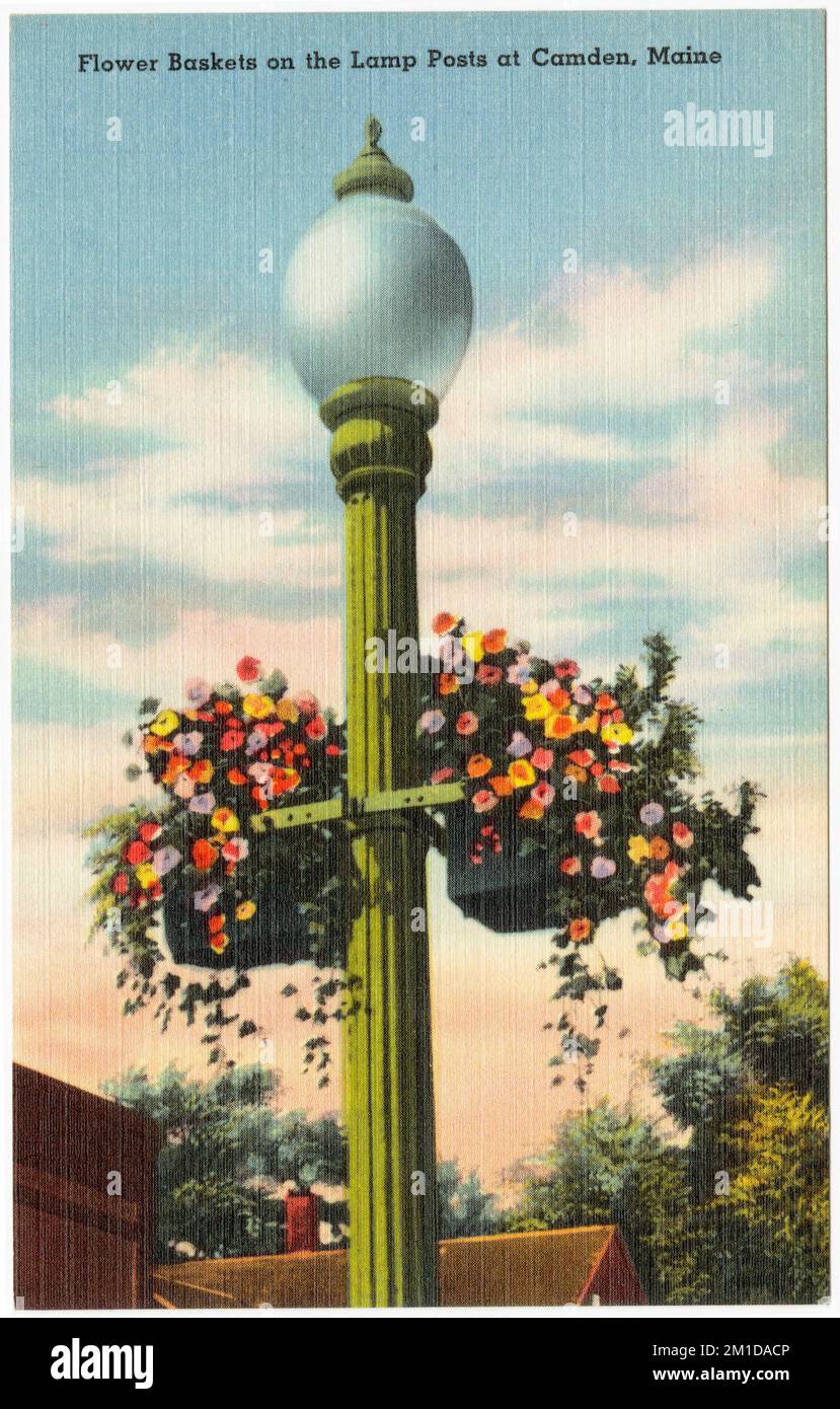 Blumenkörbe auf den Lampenmasten in Camden, Maine, Tichnor Brothers Collection, Postkarten der Vereinigten Staaten Stockfoto