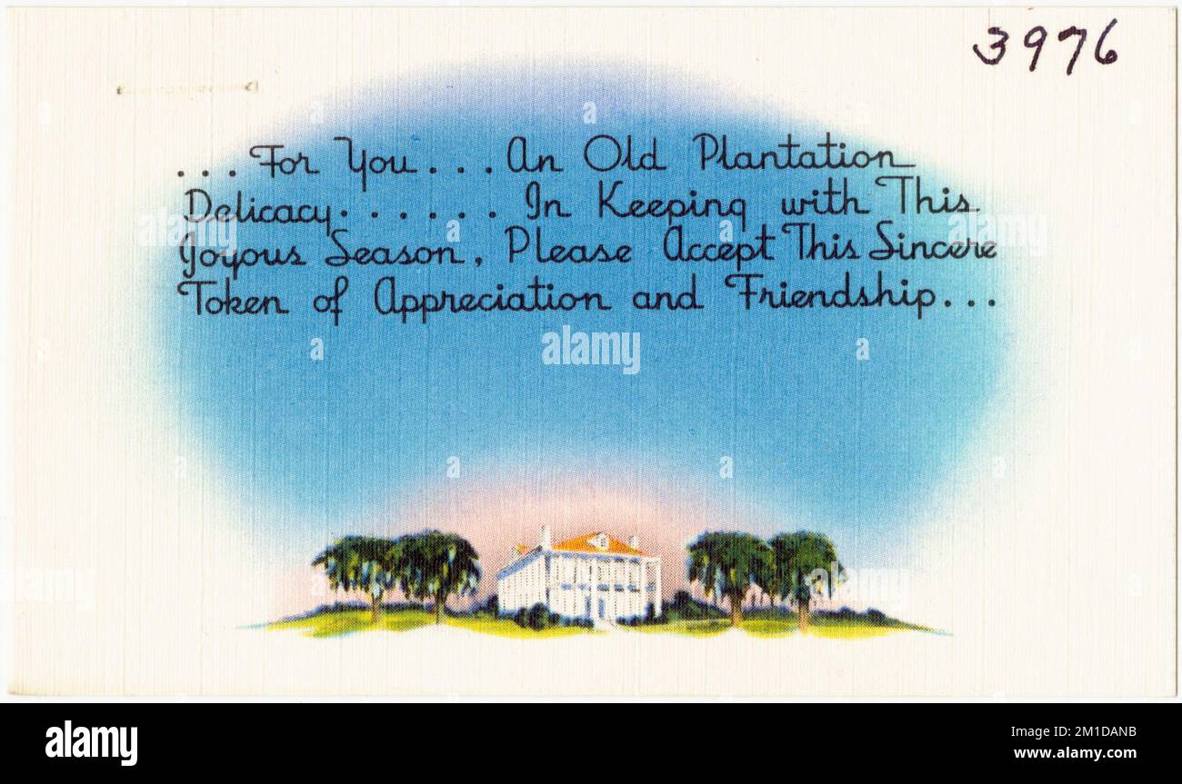 ... Für dich... Eine alte Plantagendelikatesse... Im Rahmen dieser freudigen Jahreszeit, nehmen Sie bitte dieses ehrliche Zeichen der Wertschätzung und Freundschaft an... , Tichnor Brothers Collection, Postkarten der Vereinigten Staaten Stockfoto