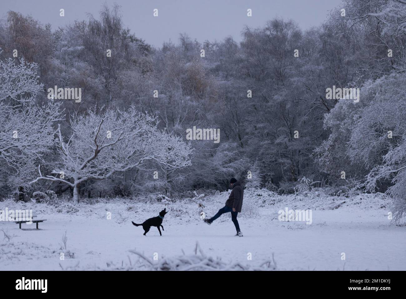 Wimbledon Common, London, Großbritannien. 12.. Dezember 2022. Malerische Schneeszenen auf Wimbledon Common, während London mit bis zu 6 cm Schnee bedeckt ist. 12.. Dezember 2022 Kredit: Clickpics/Alamy Live News Stockfoto