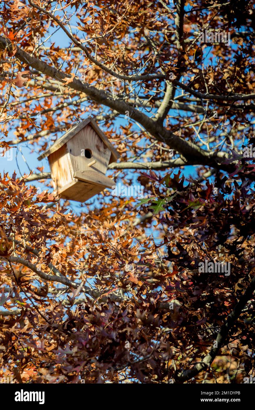 Hausgemachtes Vogelhaus aus Holz, das an einem Ast hängt Stockfoto