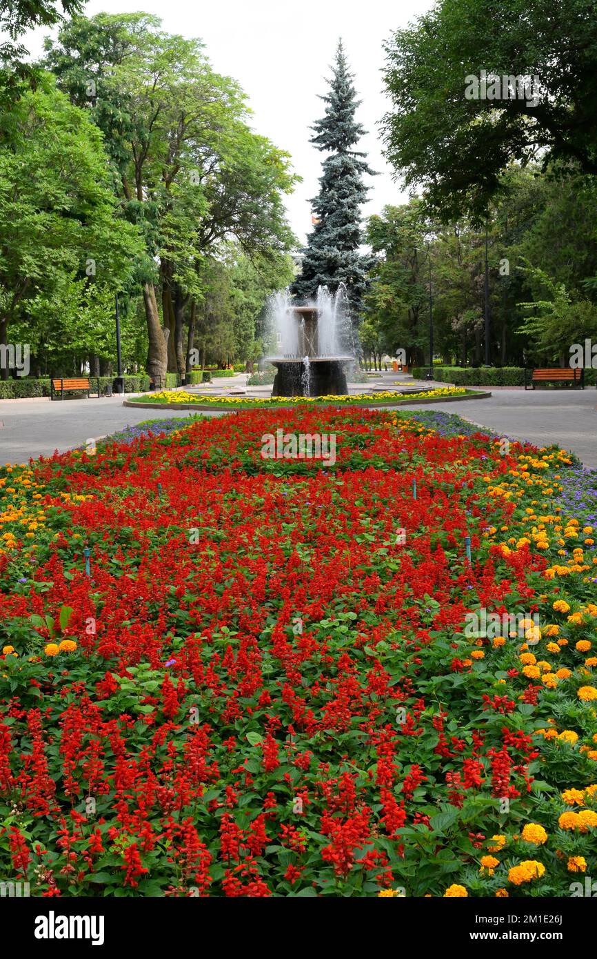 Oak Park, Blumenbett, Bischkek, Kirgisistan Stockfoto Oak Park, Blumenbett, Bischkek, Kirgisistan Stockfoto