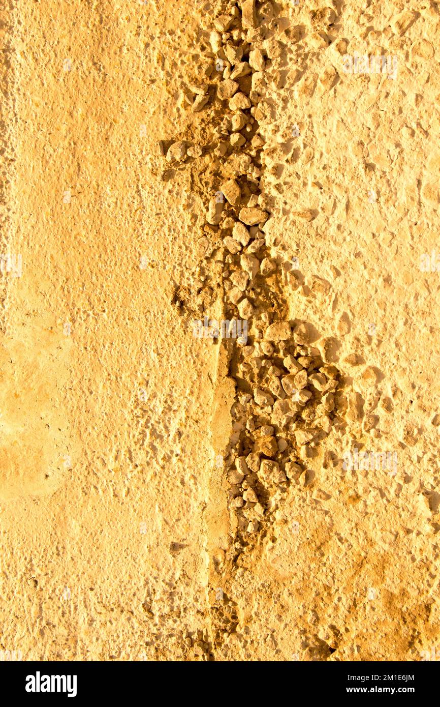 Muster auf ein frisch gezapftes Betonoberfläche Stockfoto