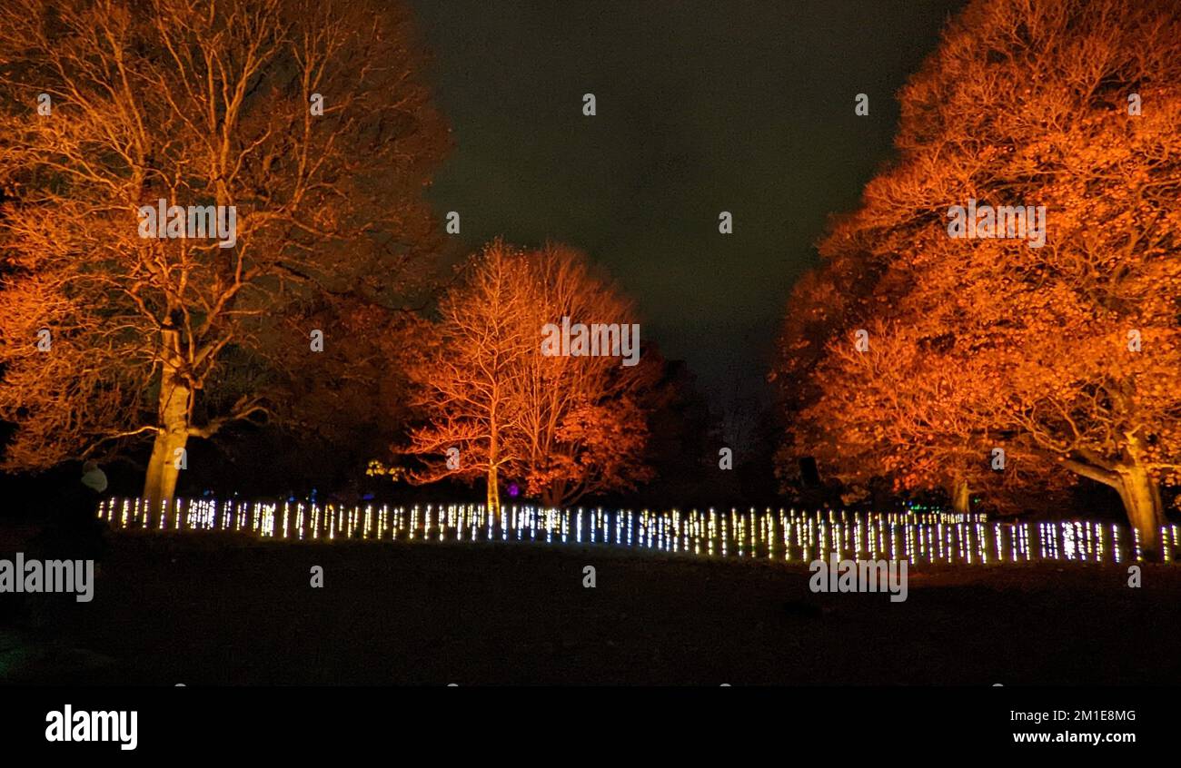 Weihnachtsbeleuchtung in Kew Gardens Stockfoto