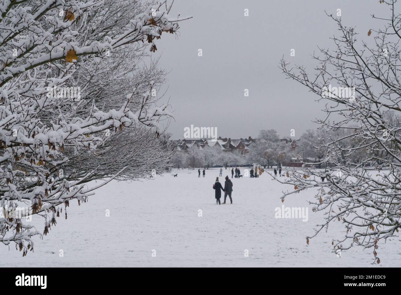 Britische Wettervorhersage, London, 12. Dezember 2022: Bei den Tooting Commons sind die Bäume und der Boden mit Schnee bedeckt, aber während der Hauptverkehrszeiten sind die Straßen klar, und Busse und Autos fahren frei. Es wurde über Verkehrsstörungen auf der Schiene und auf Flughäfen berichtet. Anna Watson/Alamy Live News Stockfoto