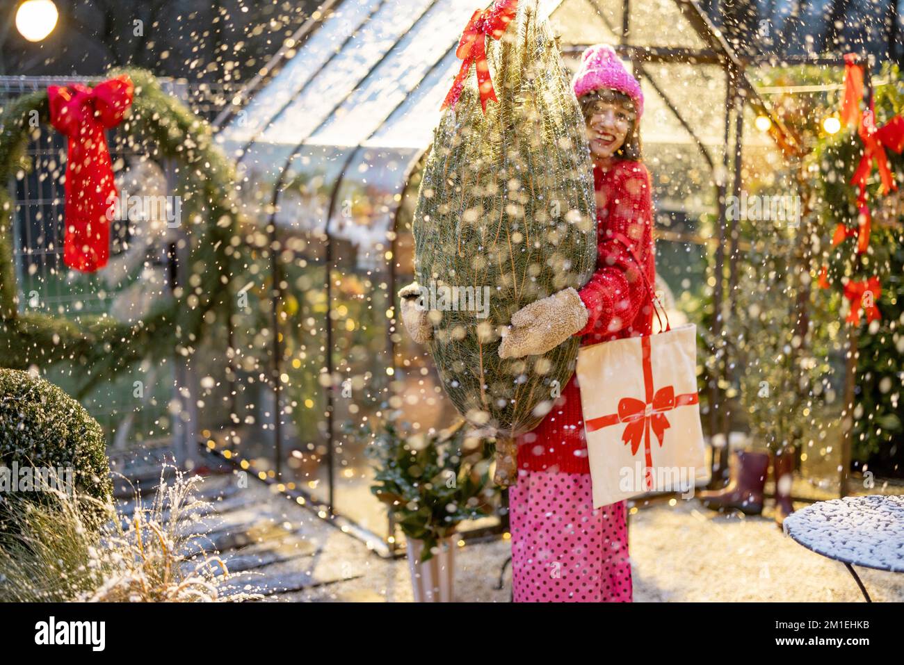 Frau mit Weihnachtsbaum, die sich auf einen Winterurlaub im Freien vorbereitet Stockfoto
