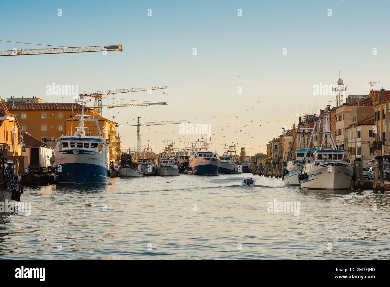 Fischereihafen Italien, Blick im Sommer auf Fischereifahrzeuge, die im Canal San Domenico im Hafen von Chioggia, Comune of Venice, Veneto, Italien festgemacht sind Stockfoto