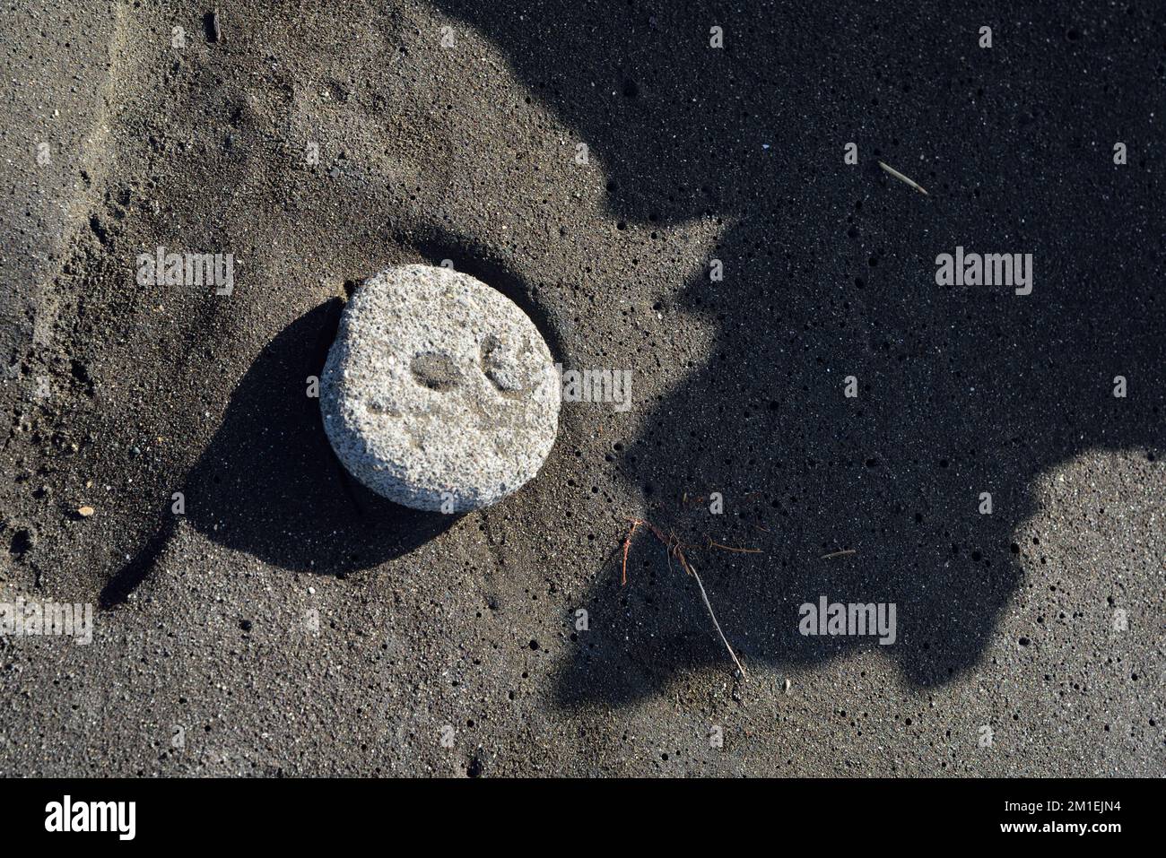 Weißer Fels auf schwarzem Sandstrand, Survada Beach, Valsad, Gujarat, Indien, Asien Stockfoto