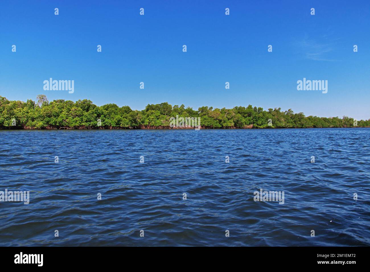 Casamance River, Ziguinchor Region, Senegal, Westafrika Stockfoto