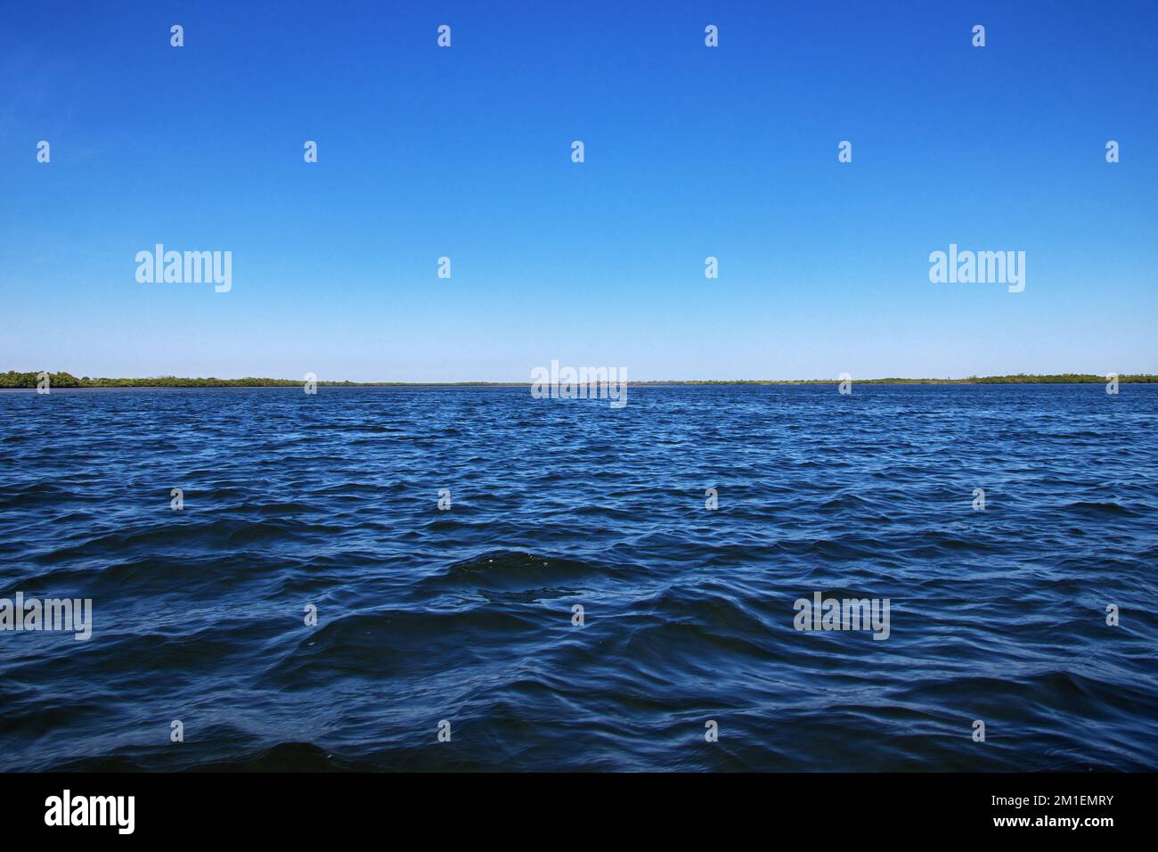 Casamance River, Ziguinchor Region, Senegal, Westafrika Stockfoto