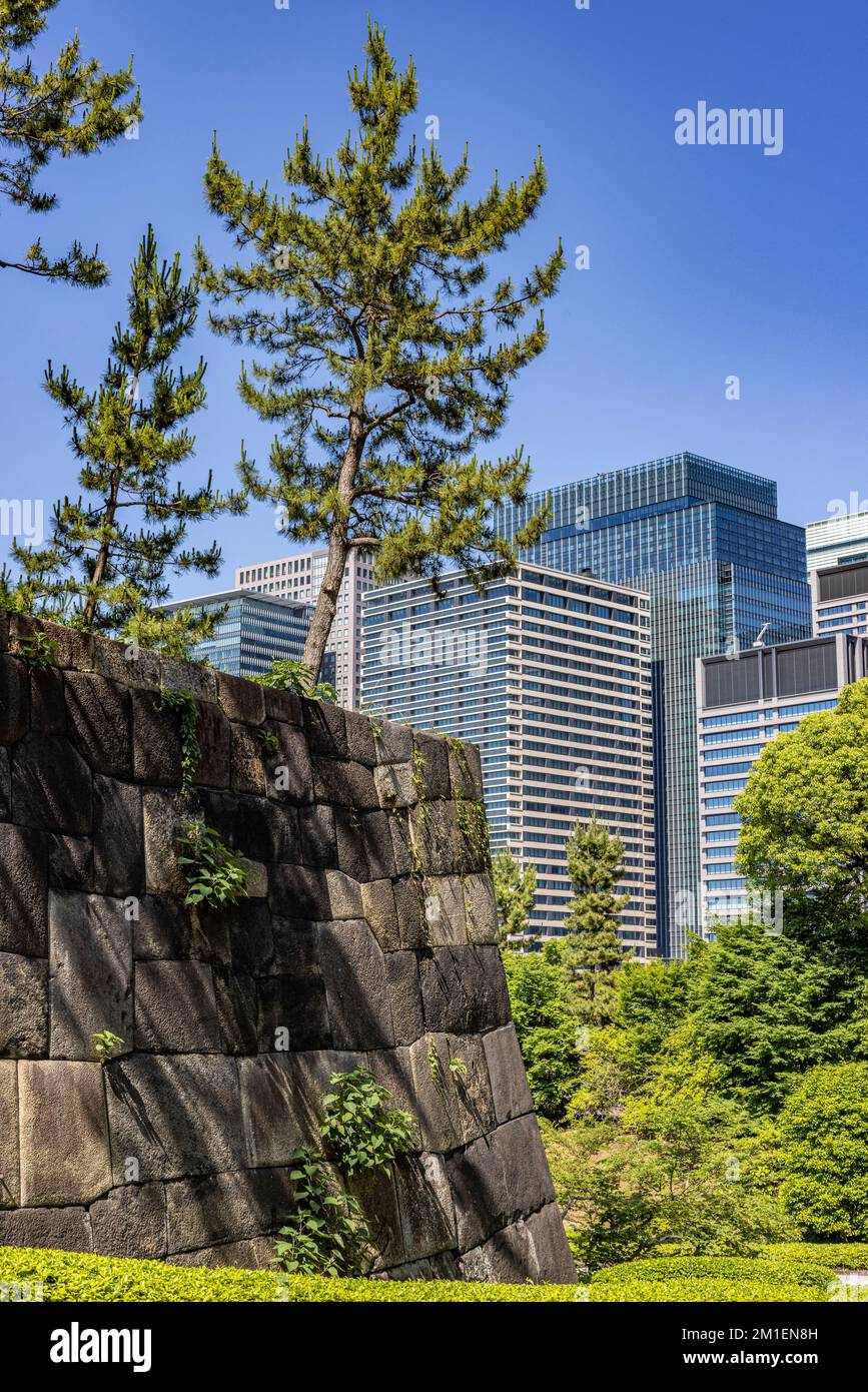 Ein vertikales Bild der neuen Gebäude im Zentrum von Tokio, Japan, mit dem Park davor Stockfoto