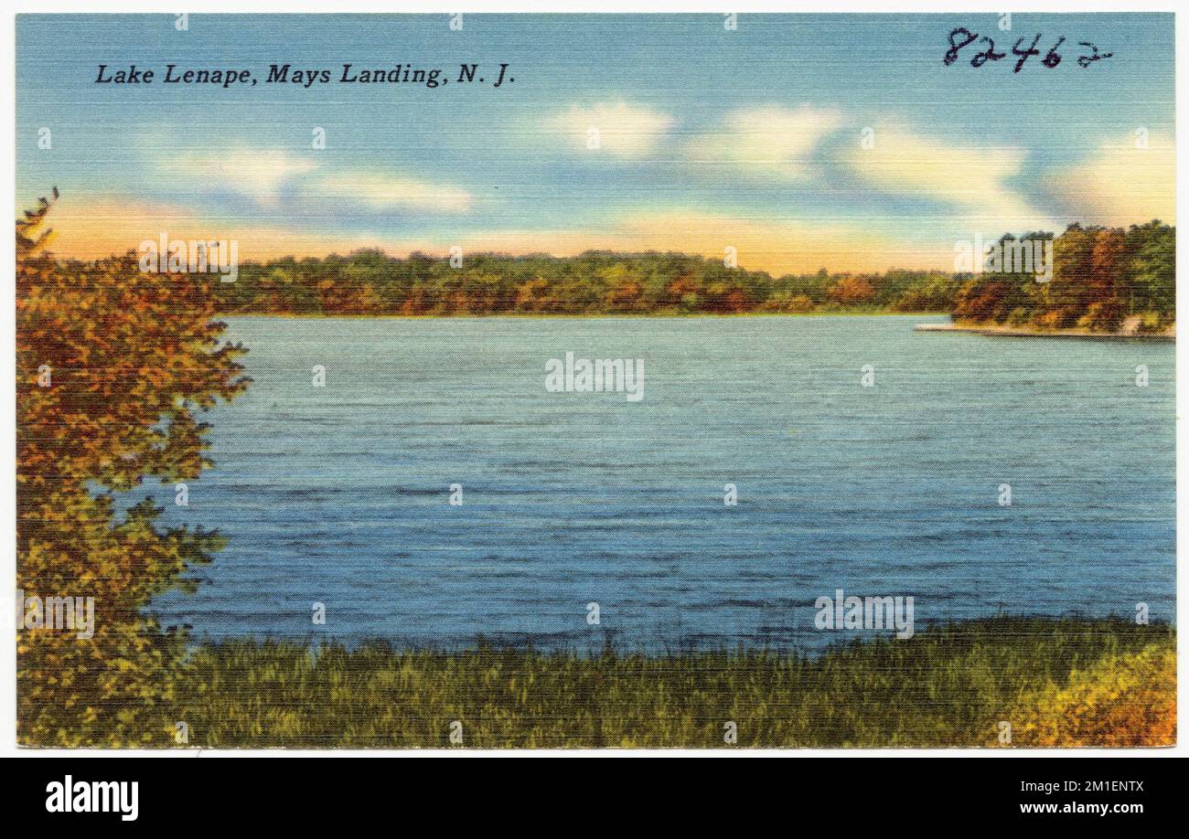 Lake Lenape, Mays Landing, N. J., Lakes & Ponds, Tichnor Brothers Collection, Postkarten der Vereinigten Staaten Stockfoto
