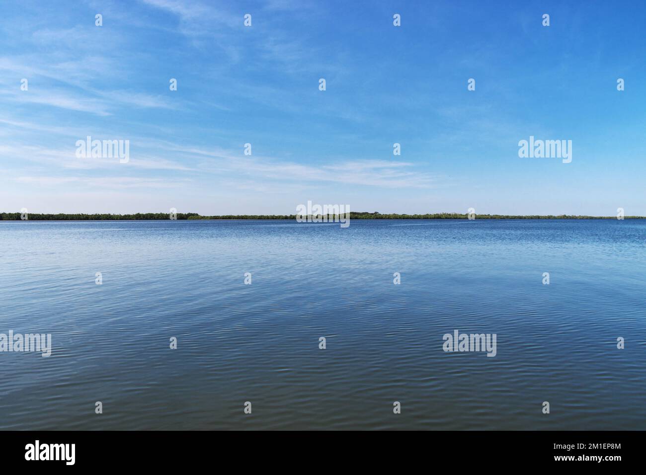 Casamance River, Ziguinchor Region, Senegal, Westafrika Stockfoto