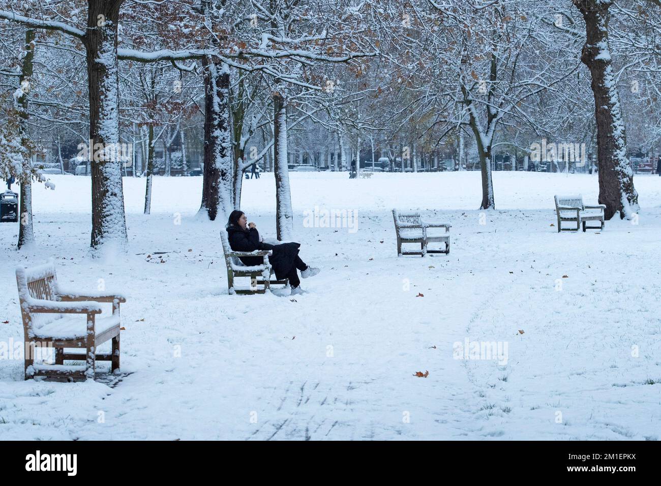 London , Vereinigtes Königreich . Eine Frau sitzt auf einer Bank in einem schneebedeckten Queens Park. West-London-Pendler durch London stehen vor der Herausforderung, am Dezemb zur Arbeit zu kommen Stockfoto