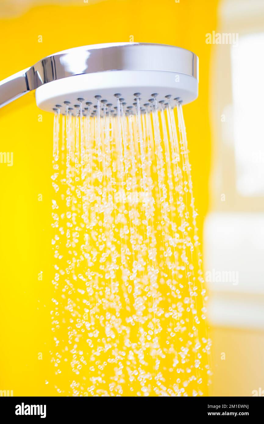 Nahaufnahme fließender Wassertropfen aus einem Duschkopf in einem hellen Badezimmer mit gelbem Hintergrund Stockfoto