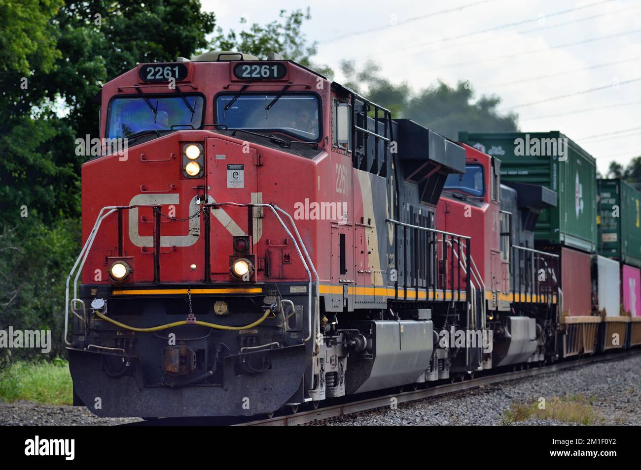 Wayne, Illinois, USA. Zwei Lokomotiven der Canadian National Railway führen einen intermodalen Güterzug durch die nordöstlichen Vororte von Chicago. Stockfoto