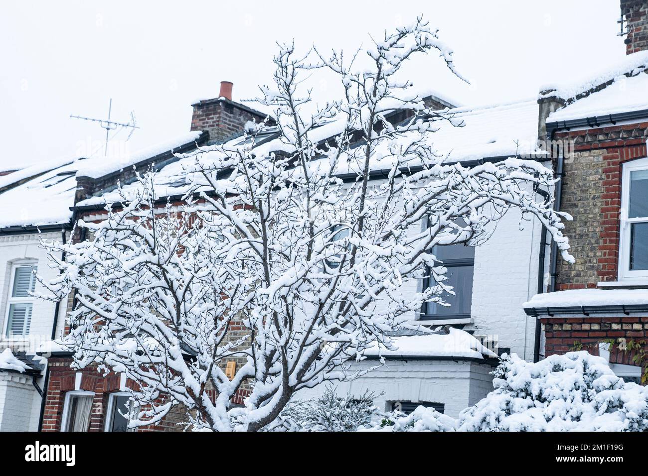 Schnee in London 2022 Stockfoto