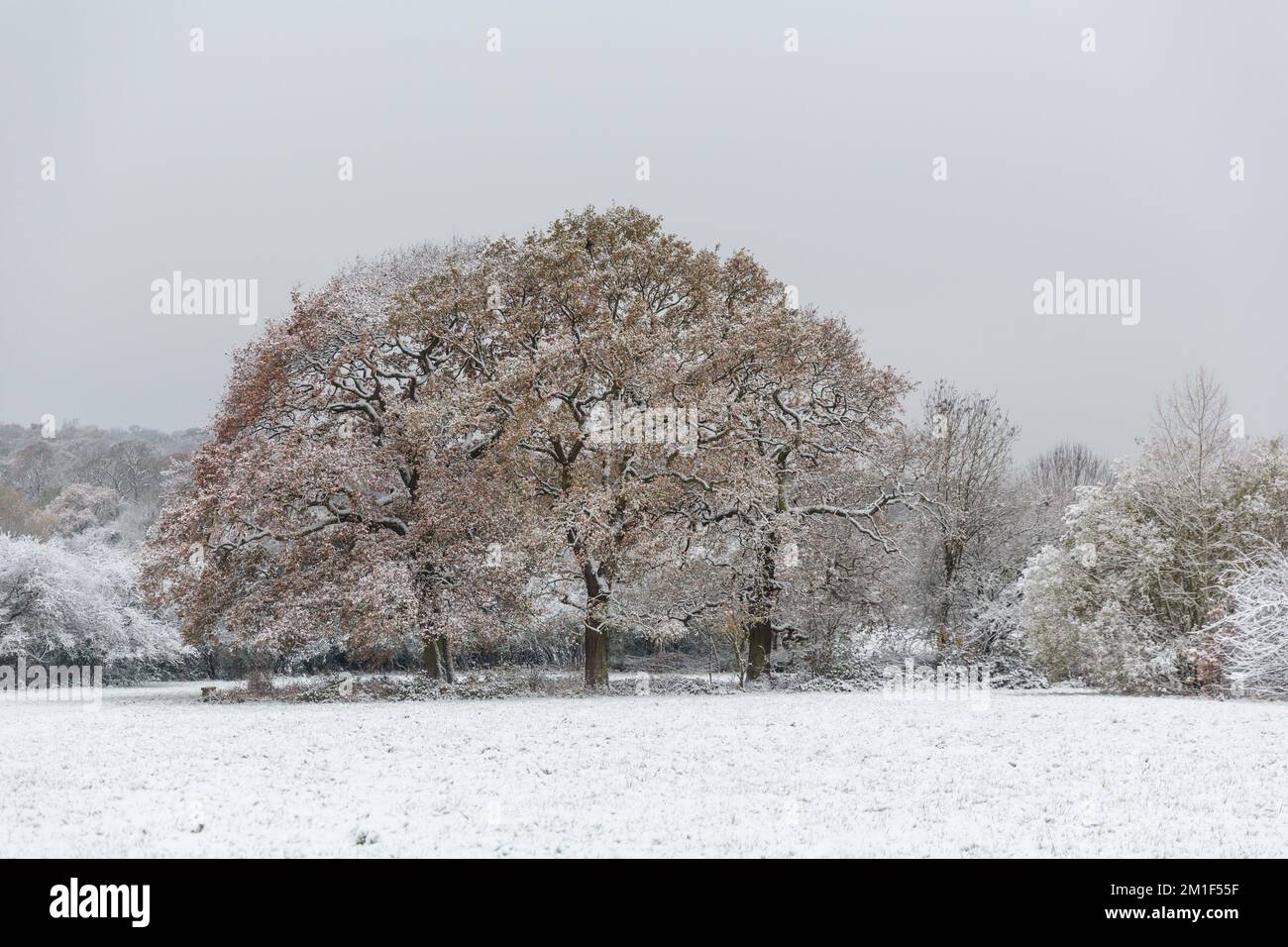 WETTER IN GROSSBRITANNIEN. Wembley Park, Großbritannien. 12.. Dezember 2022 Die Londoner wachten letzte Nacht mit eisigen Temperaturen und Winterszenen nach heftigem Schneefall in der Hauptstadt auf. Foto: Amanda Rose/Alamy Live News Stockfoto