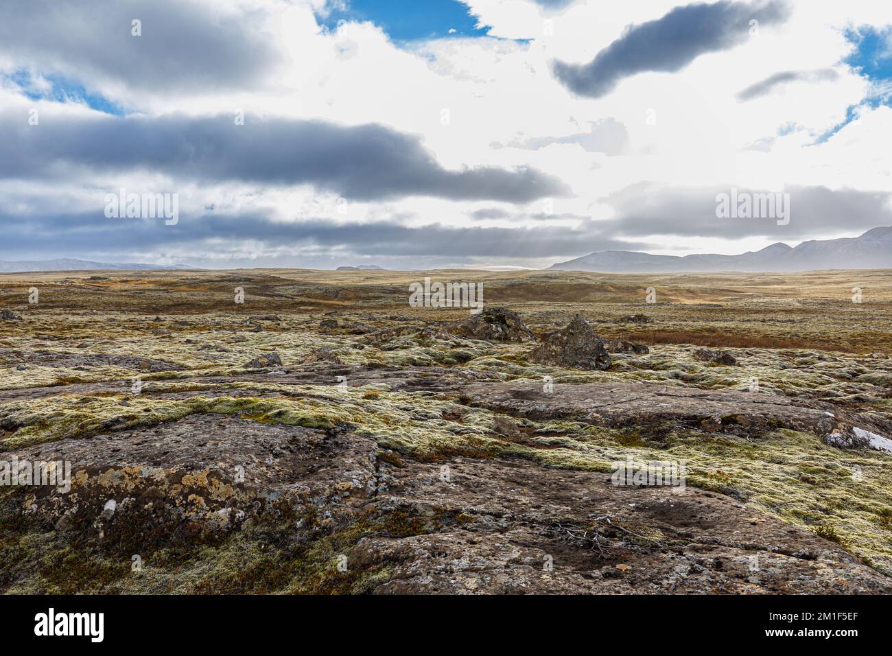 Typische nordische Ebene mit Moosen und Skipisten im Südosten Islands Stockfoto