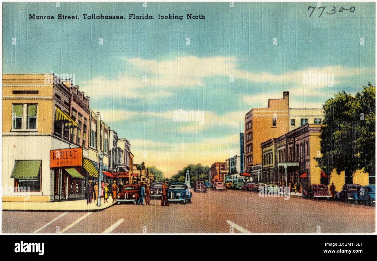 Monroe Street, Tallahassee, Florida, nach Norden, Städte und Städte, Tichnor Brothers Collection, Postkarten der Vereinigten Staaten Stockfoto