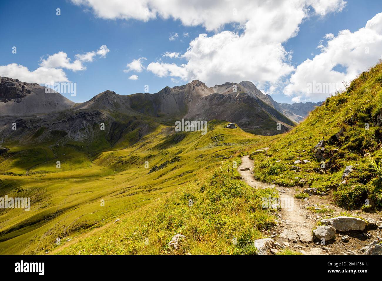 Ein Weg führt zu einer Hütte in den Alpen, Österreich, Europa Stockfoto