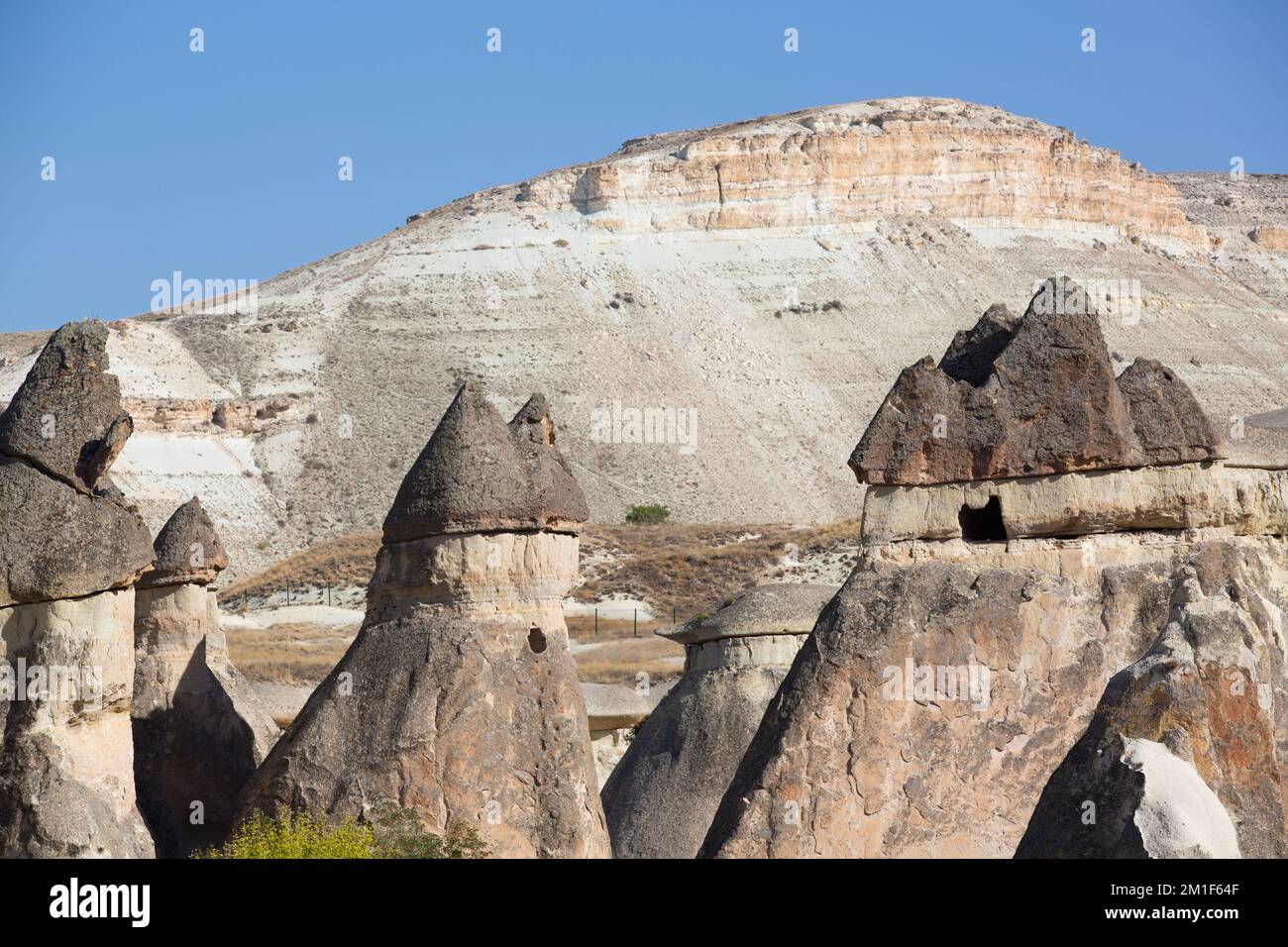 Feenschornsteine, Pasabag Valley (Mönchtal), Nevsehir Province, Kappadokien Region, Türkei Stockfoto