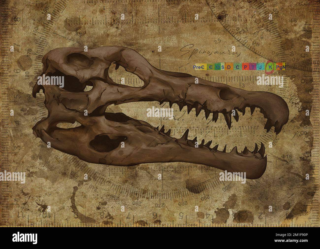 Spinosaurus Dinosaur Skull Art Study Old Textured Paper Vintage Geometrical Poster Stockfoto