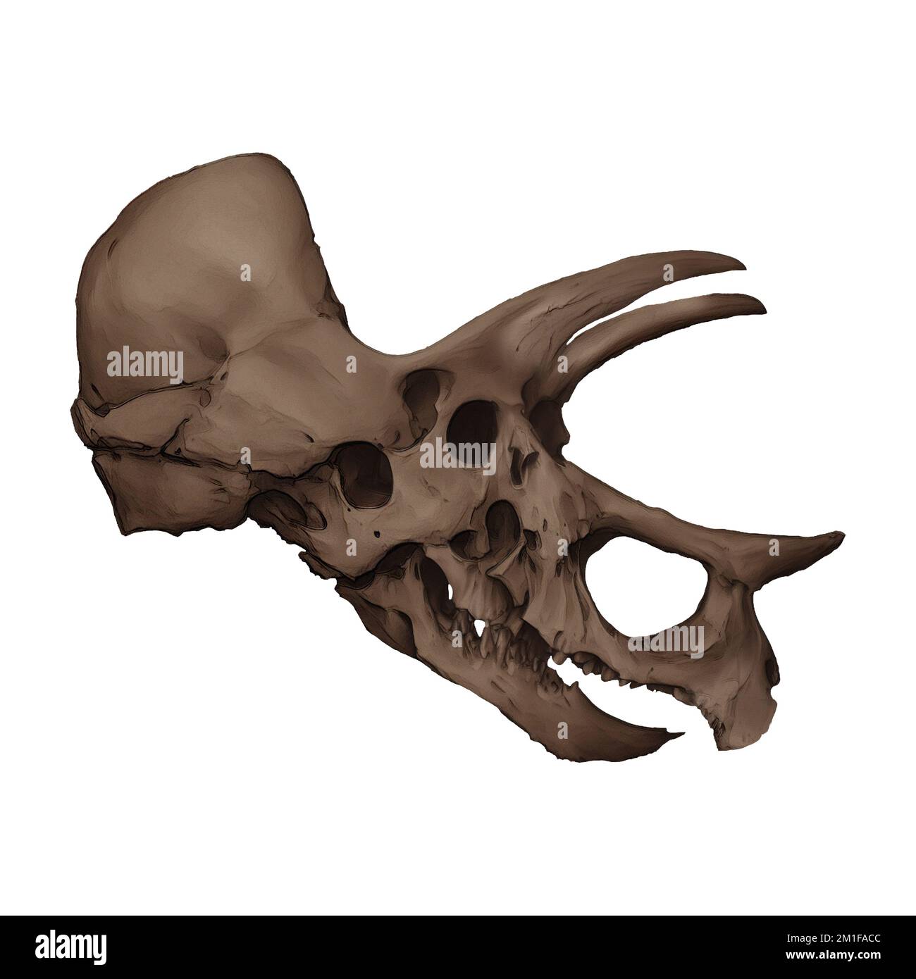 Triceratops Skull Digital Art By Winters860 Isolated, Background Stockfoto