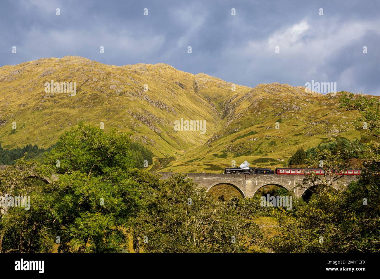 Der Jacobite Express auf dem Glenfinnan Viadukt, Lochaber, Schottland Stockfoto