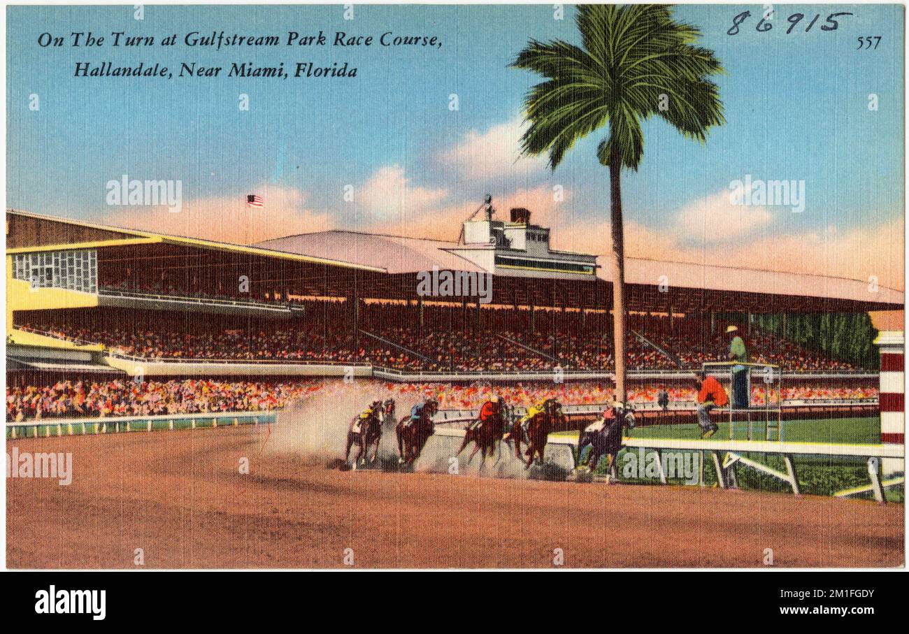 Auf dem Weg zum Gulfstream Park Rennbahn, Hallandale, nahe Miami, Florida , Sport- und Erholungseinrichtungen, Tichnor Brothers Collection, Postkarten der Vereinigten Staaten Stockfoto