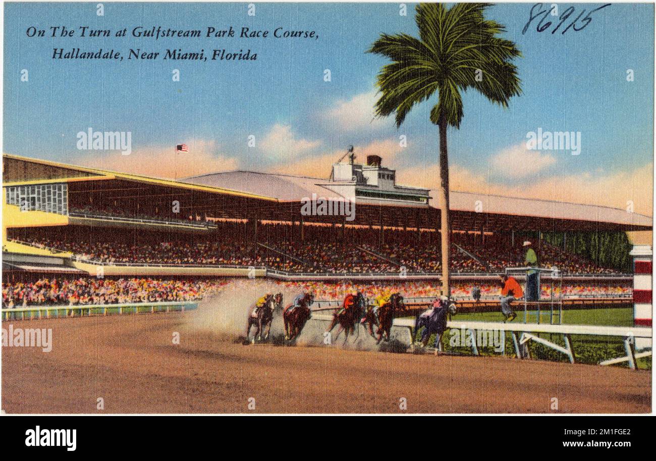 Auf dem Weg zum Gulfstream Park Race Course, Hallandale, in der Nähe von Miami, Florida , Sport- und Erholungseinrichtungen, Tichnor Brothers Collection, Postkarten der Vereinigten Staaten Stockfoto