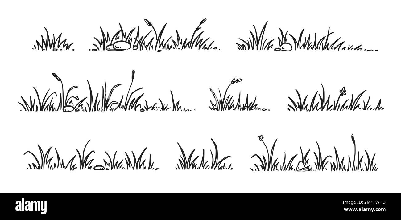Zeichensatz Graskritzel. Handgezeichneter Grasfeldumriss mit Kritzelhintergrund. Sprossen, Blüten, Klee. Vektordarstellung. Stock Vektor