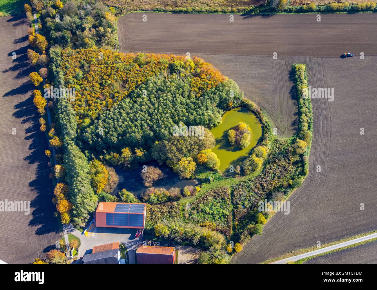 Luftaufnahme, kleiner Wald mit Teich in Neuer Weg hinter Haus Reck im