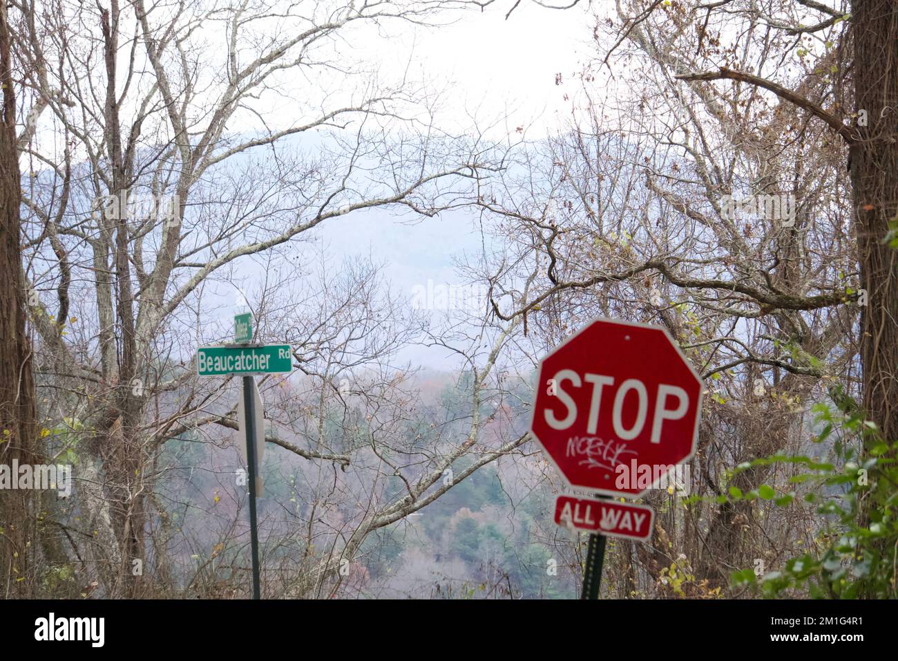 Straßenschild und Stoppschild mit Berg im Hintergrund in der Nähe von Asheville, NC. Stockfoto