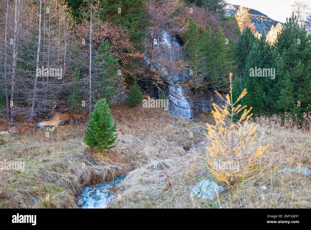 Kleiner Wasserfall und Bach im Morteratsch-Tal, Schweiz im Herbst Stockfoto