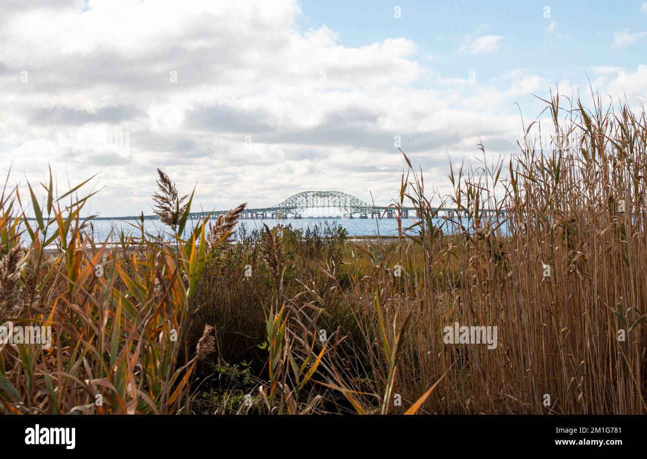 Blick über das Schilf an den Great South Bay Bridges vom Gardiners Park in Bay Shore. Stockfoto