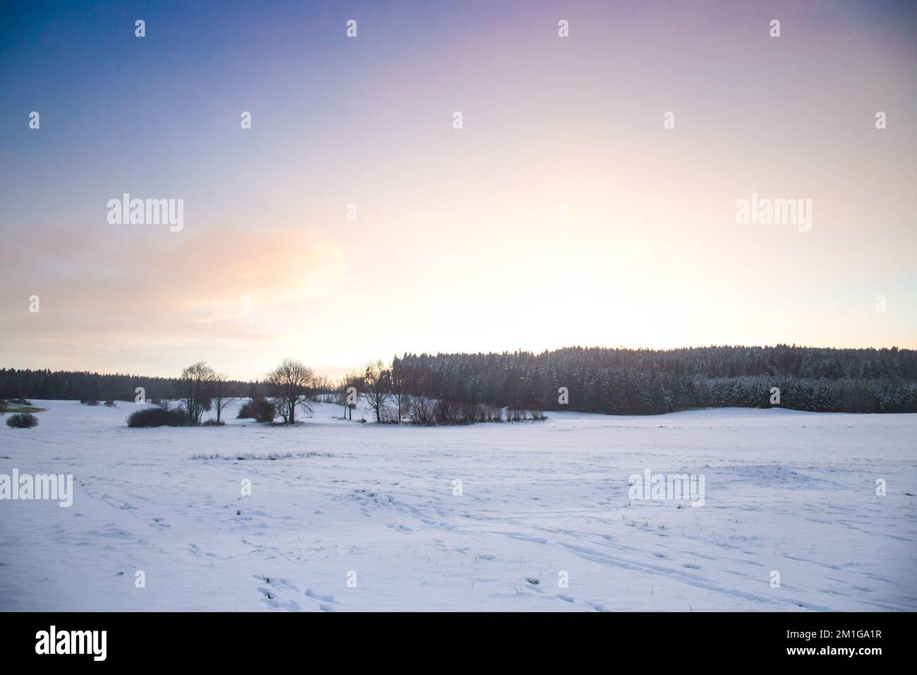 Winterlandschaft im Waldviertel, Osterreich Stockfoto