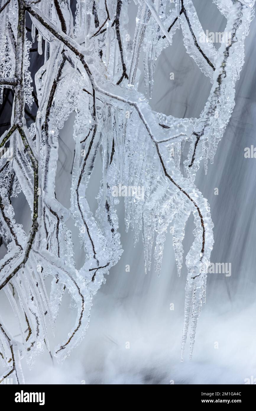 Summerhill Force, Teesdale, County Durham, Großbritannien. 12.. Dezember 2022 Wetter in Großbritannien. Eisige Witterungsbedingungen mit Eis und Schnee sorgen heute Nachmittag bei Summerhill Force in den North Pennines im Nordosten Englands für wunderbare Winterszenen. Kredit: David Forster/Alamy Live News Stockfoto