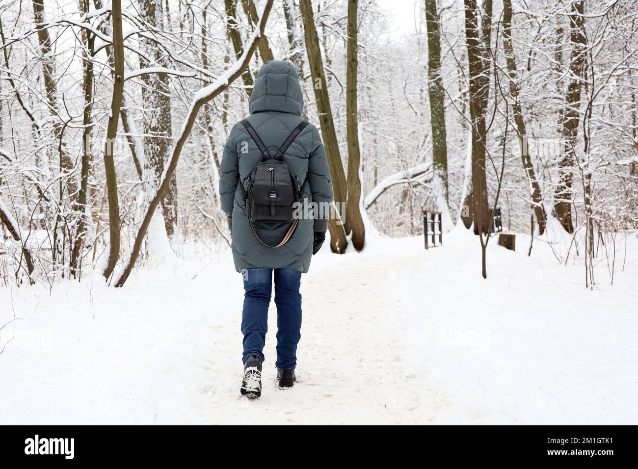 Frau mit Daunenjacke und Rucksack beim Wandern im Winterpark. Genießen Sie die Natur, malerische Aussicht mit schneebedeckten Bäumen Stockfoto