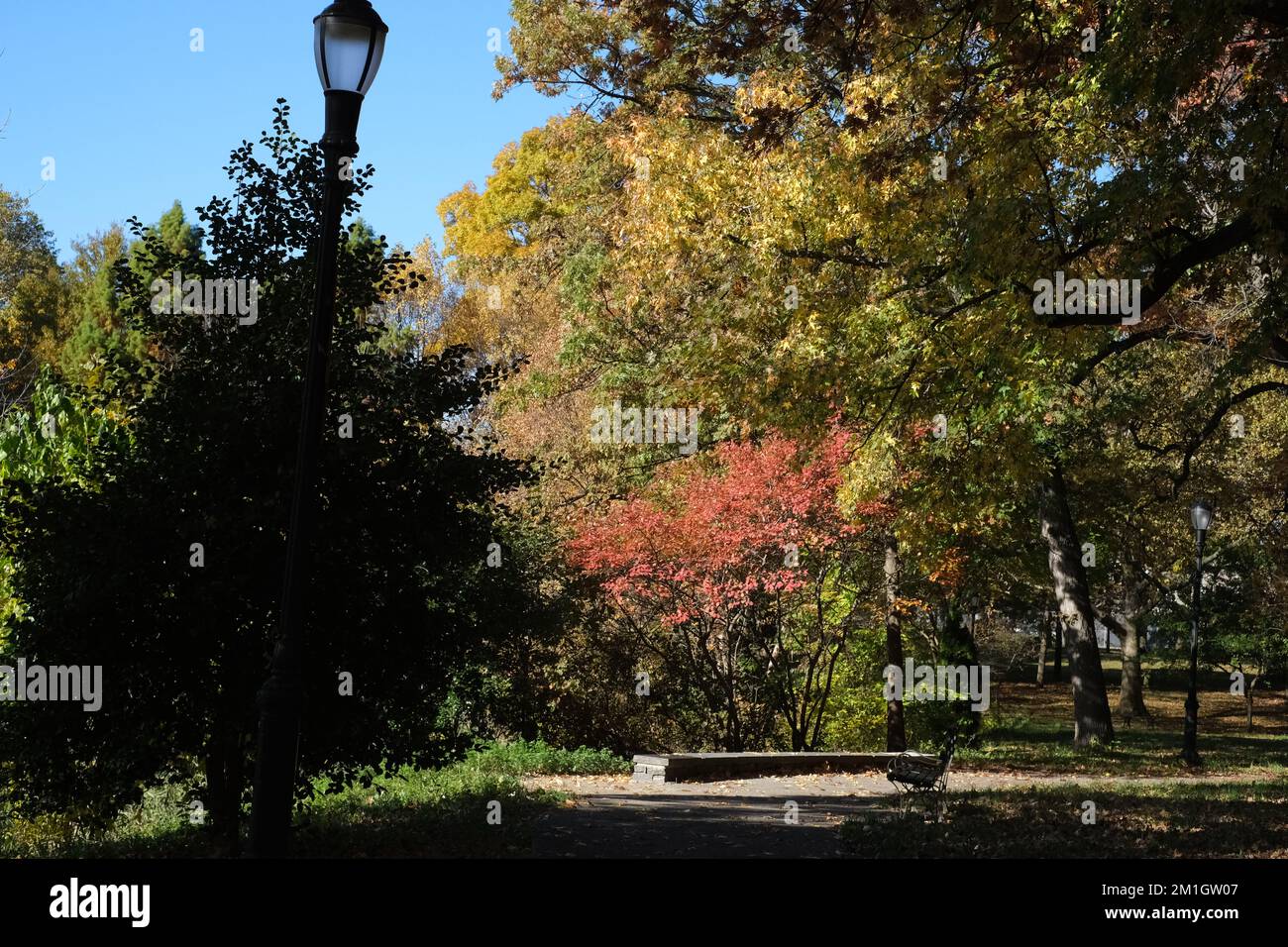 Schattige Bäume im Vordergrund und sonnenbeleuchtete Bäume im Hintergrund. Stockfoto