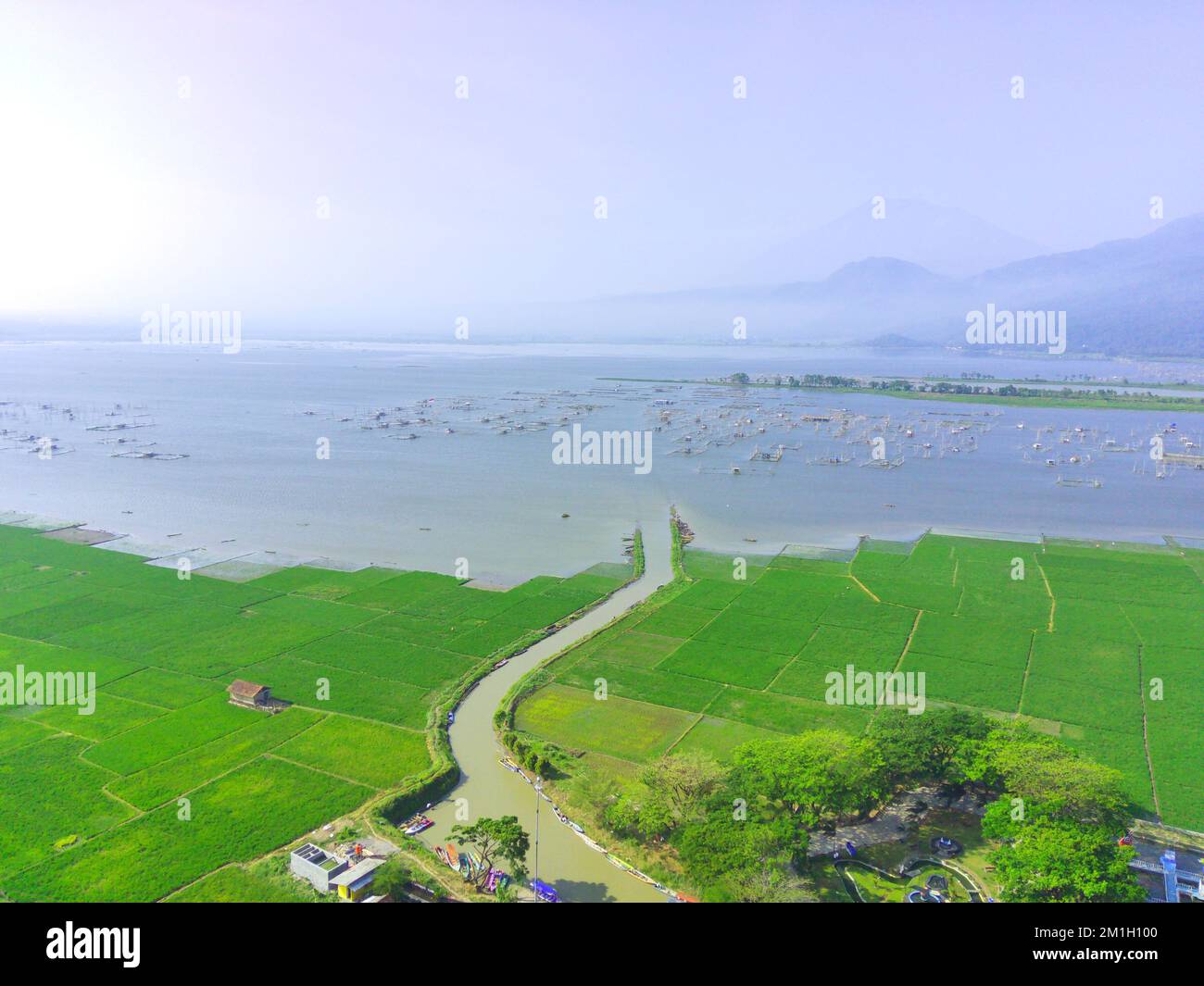 Ein Blick auf die Reisfelder in der Drohne vor dem Hintergrund des Lake Rawa Pening in Ambarawa, Indonesien Stockfoto