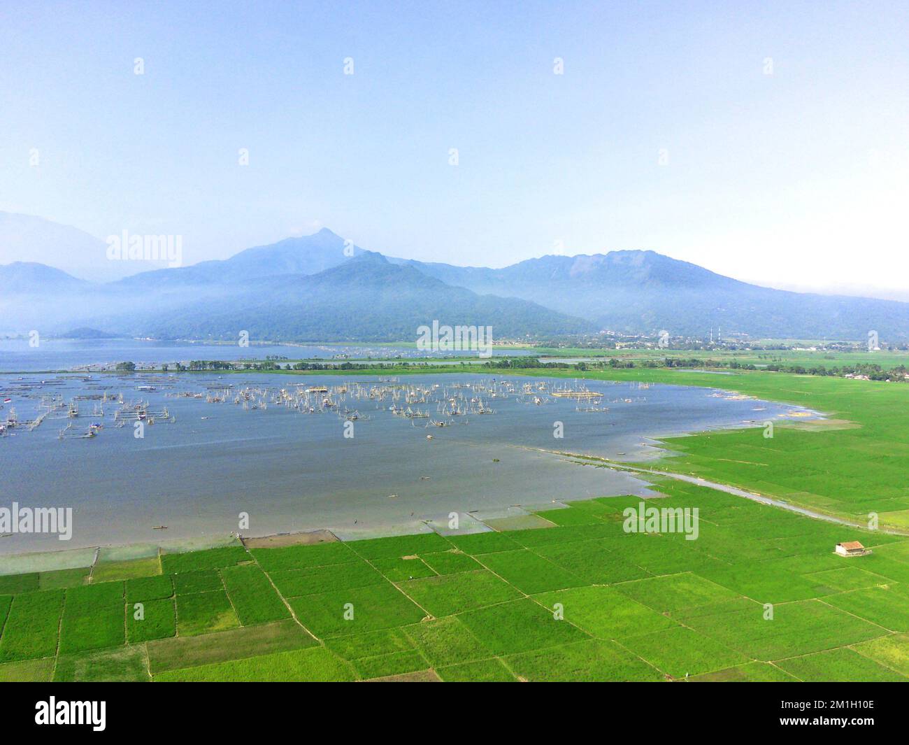 Ein Blick auf die Reisfelder in der Drohne vor dem Hintergrund des Rawa-Sees und der Berge in Ambarawa Stockfoto
