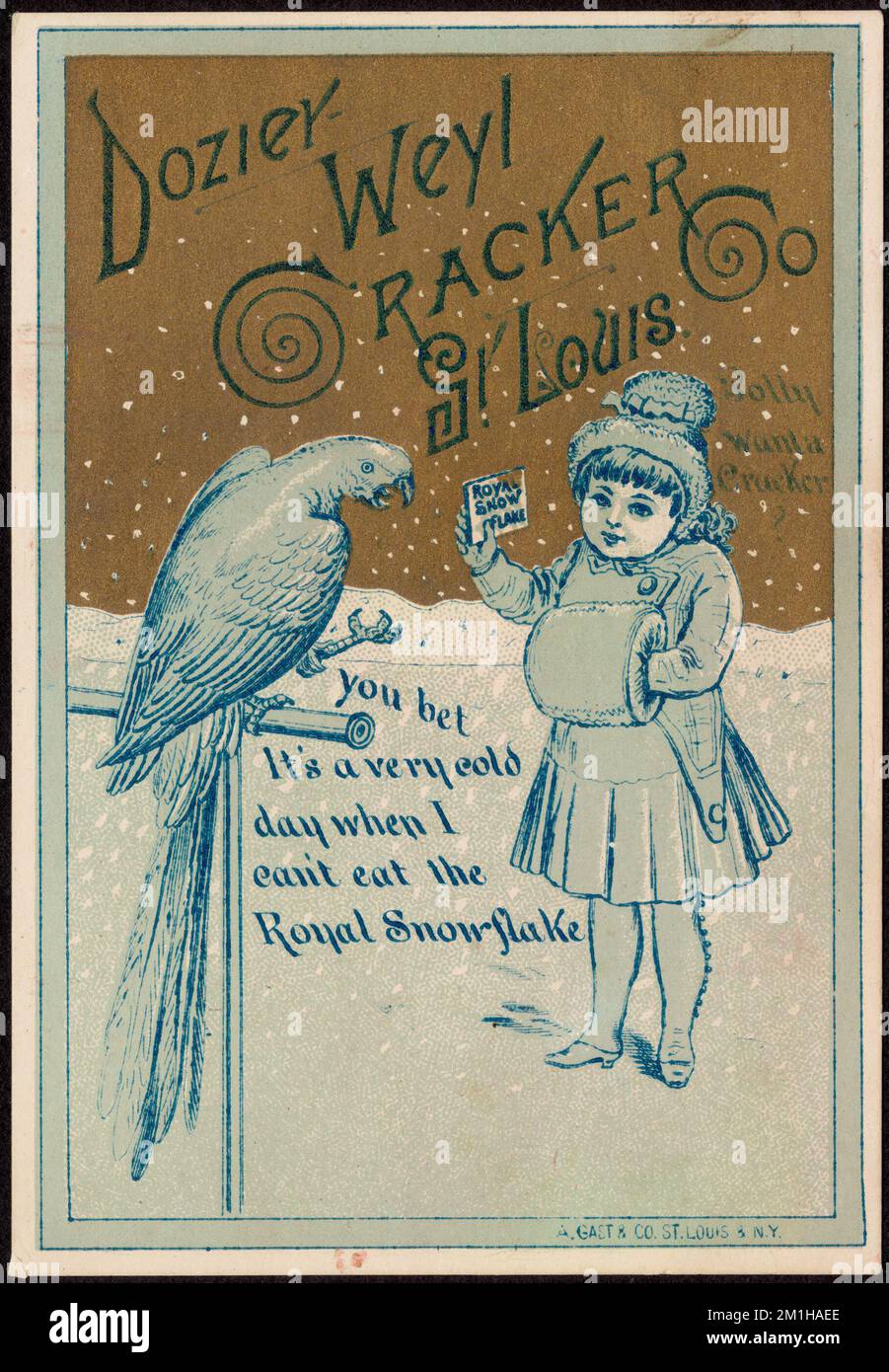 Dozier-Weyl Cracker Co St. Louis, Ich Bin'S Polly Wanta Cracker? Es ist ein sehr kalter Tag, an dem ich keine Royal Snowflake essen kann, Backwaren, Papageien, Frauen, American Trade Cards des 19.. Jahrhunderts Stockfoto