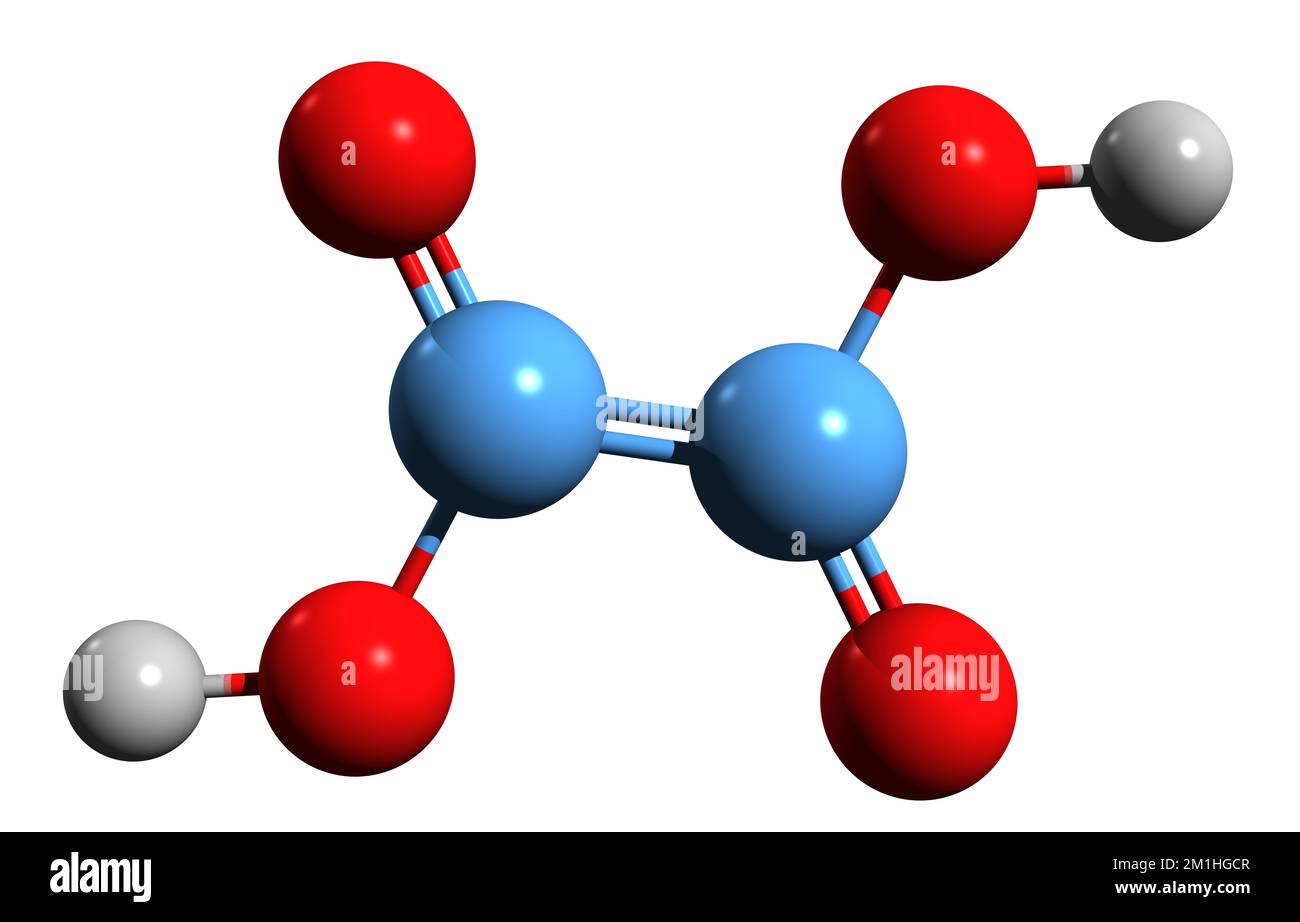 3D-Bild der Oxalsäure-Skelettformel - molekularchemische Struktur der auf weißem Hintergrund isolierten Ethandisäure Stockfoto