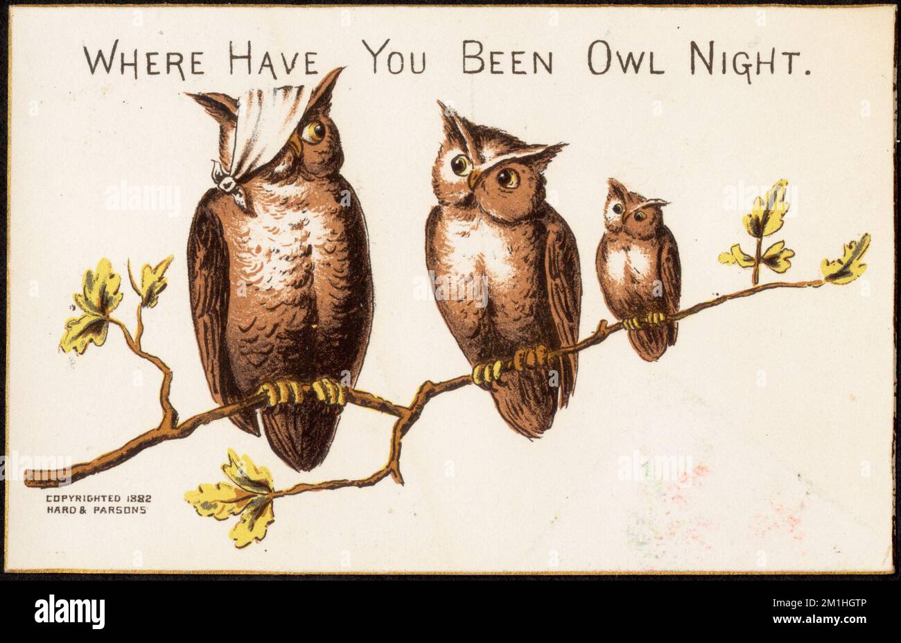 Wo warst du in der Eulennacht? Eulen, amerikanische Handelskarten des 19.. Jahrhunderts Stockfoto