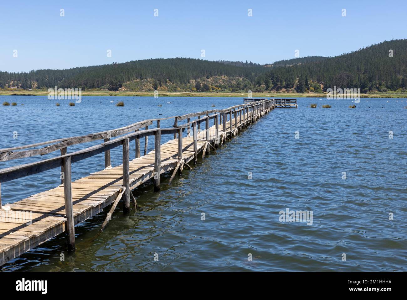 Salinas de Cáhuil und Laguna Cáhuil (Pichilemu) - Chile Stockfoto