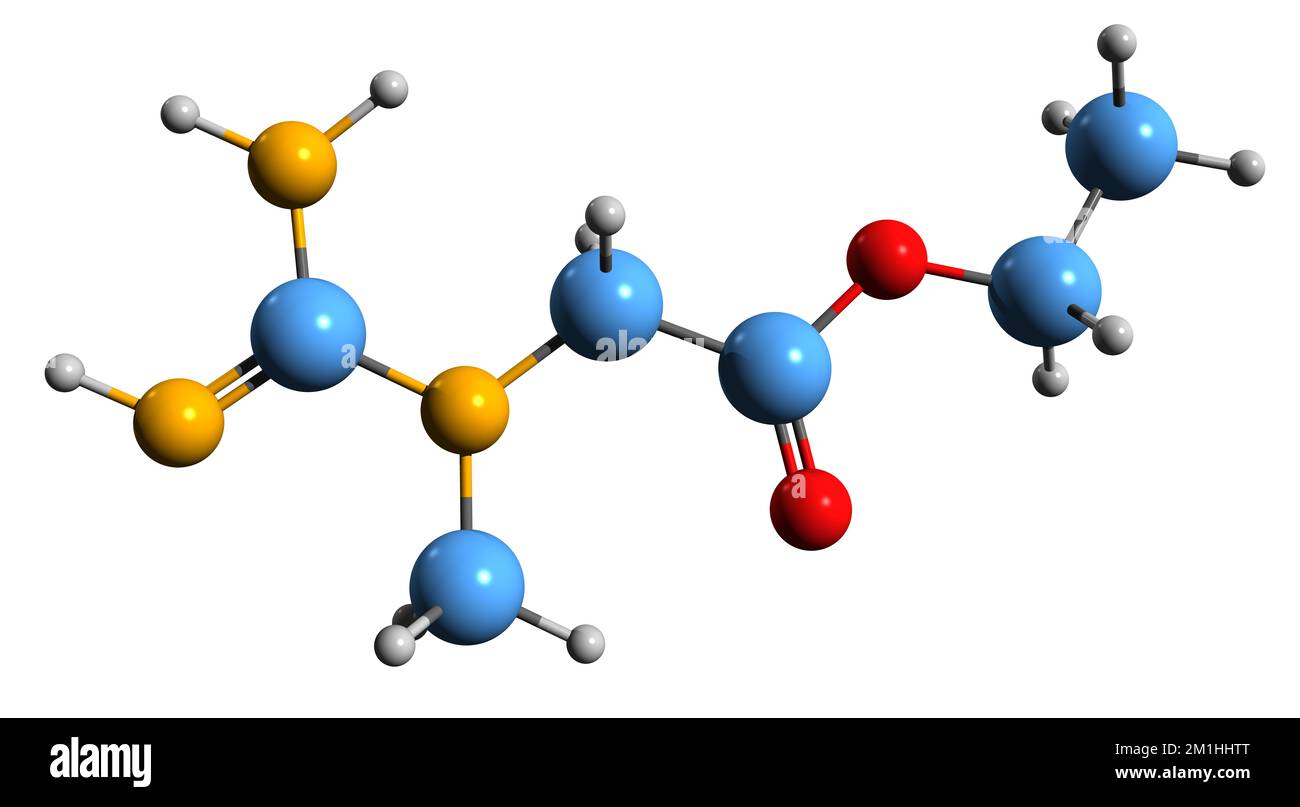 3D-Bild einer Creatinethylester-Skelettformel - molekularchemische Struktur eines auf weißem Hintergrund isolierten Lebensmittelzusatzstoffes Stockfoto