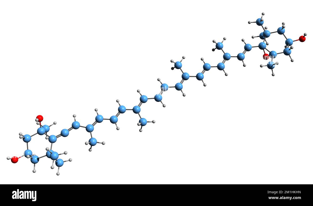 Xanthophyll zyklus Fotos und Bildmaterial in hoher Auflösung Alamy
