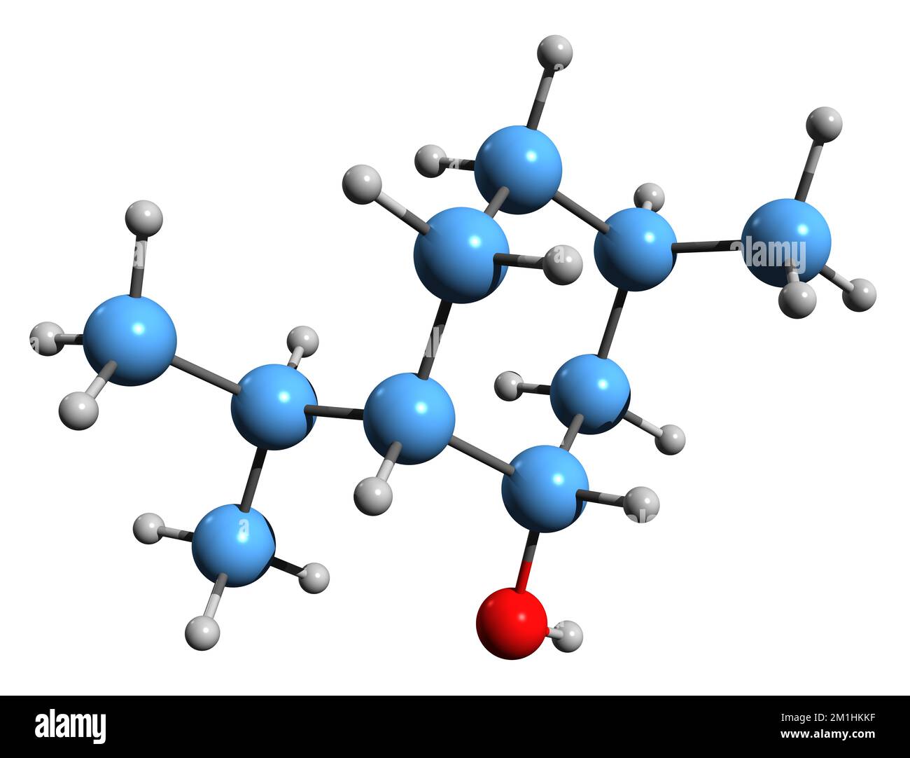 3D-Bild der Neomenthol-Skelettformel - molekularchemische Struktur der Mentha-Phytochemie, isoliert auf weißem Hintergrund Stockfoto